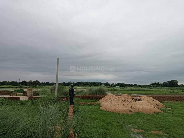 Phulnakhara Main Image 1