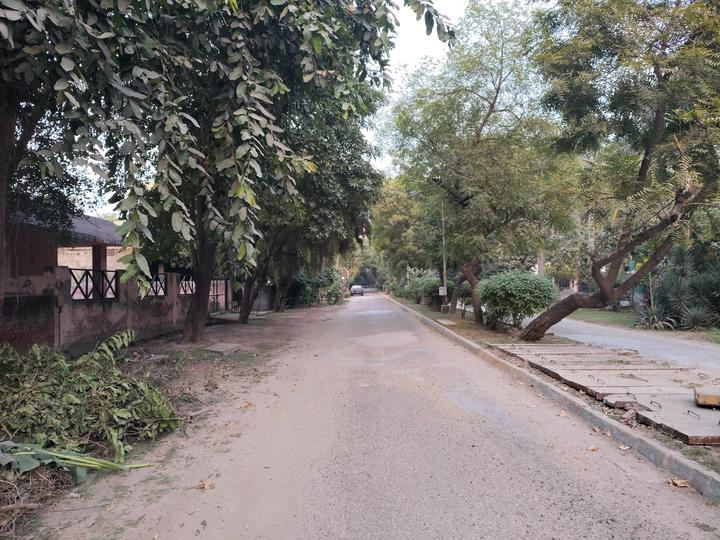 Silver Oak Society Main Image 1