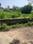 The Creek Main Image 1