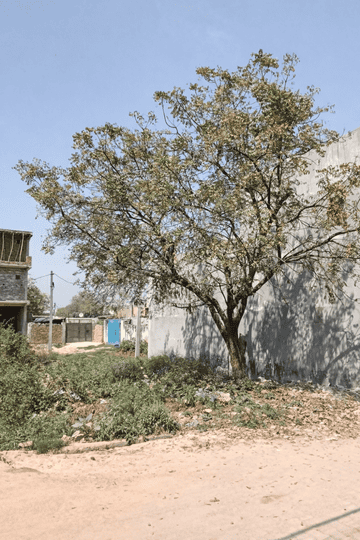 Sector 23 Main Image 1