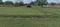 Rajarhat Chowmatha Plot View 2