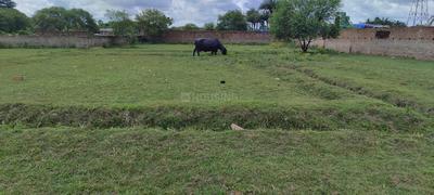 Rajarhat Chowmatha Plot View 2
