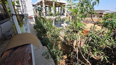 Image of 6500 Sq.ft 8 BHK Independent House for sale in Neelbad, Bhopal for Rs. 45000000