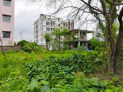 Action Area 2 Plot View 3