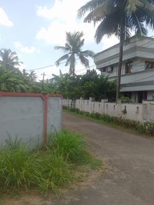 Nellikunnu Plot View 3