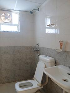 Common Bathroom Image of 745 Sq.ft 3 BHK Apartment / Flat for sale in ROF Aalayas Phase 2, Sector 102 Gurgaon for Rs. 7500000