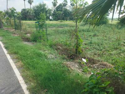 Residential Plot