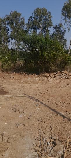 balwadkar vihar Main Image 1