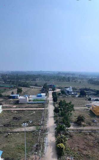 Oraiyan Virupaksha Main Image 1