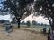 Bassi Plot View 2