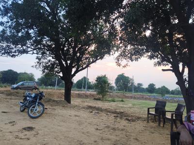 Bassi Plot View 2