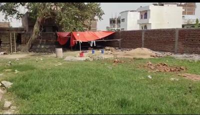 Beur Plot View 2