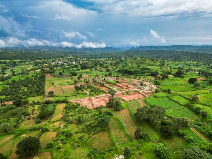 VANAMALI Main Image 1