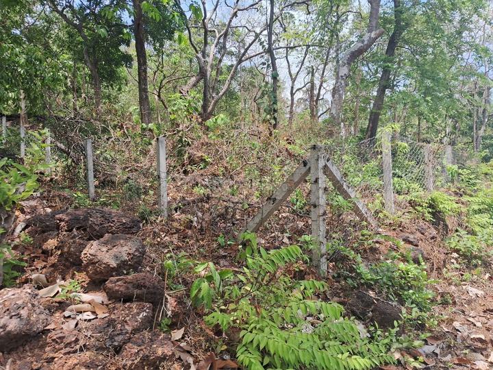 Salcete Main Image 1