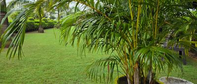 Image of 4500 Sq.ft Residential Plot / Land for sale in Ramnagar, Nainital for Rs. 9600000