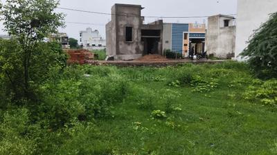 Tarodi Plot View 2