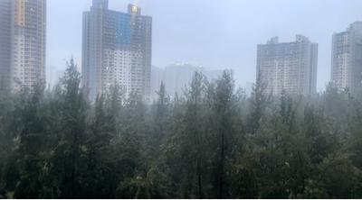Image of 800 Sq.ft 2 BHK Apartment / Flat for sale in Godrej Forest Grove, Mamurdi, Pune for Rs. 5000000