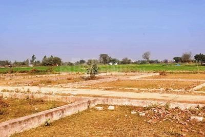 Image of 900 Sq.ft Residential Plot / Land for sale in ASM Shree Jaswant Garden, Sector 14, Panchkula for Rs. 6799900