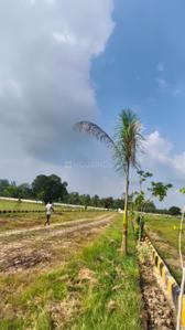 Image of 1000 Sq.ft Residential Plot / Land for sale in Sevai, Lucknow for Rs. 1700000
