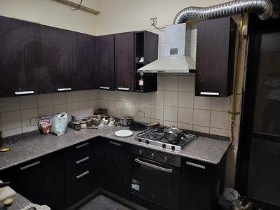 Kitchen Image of 2096 Sq.ft 3 BHK Apartment / Flat for sale in Unitech Habitat, Sector PI Greater Noida for Rs. 15000000