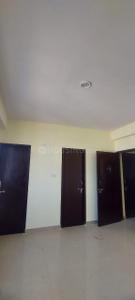 Hall Image of 640 Sq.ft 2 BHK Apartment / Flat for rent in Real Avani Homes, Sukhdeopura Nohara Jaipur for Rs. 12000