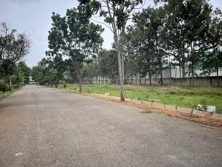 Sulikere Main Image 1