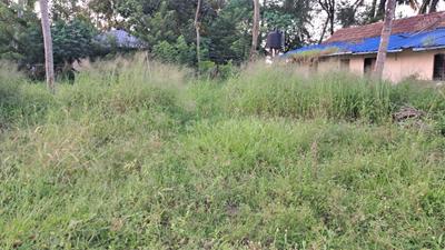 Image of 19600 Sq.ft Residential Plot / Land for sale in Panangad, Kochi for Rs. 38250000