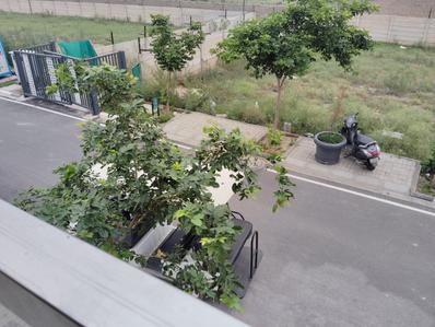 Godrej Green Estate Plot View 2