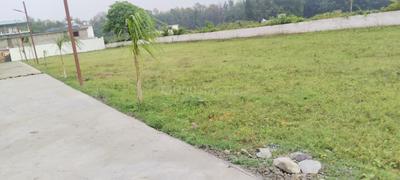Image of 1350 Sq.ft Residential Plot / Land for sale in Bhauwala, Dehradun for Rs. 4050000