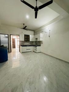 Hall Image of 850 Sq.ft 2 BHK Independent House for rent in Palam Vihar Extension Gurgaon for Rs. 21000