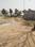 New Palam Vihar Phase 3, Sector 110A Main Image 1