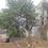 Phase 2 Main Image 1
