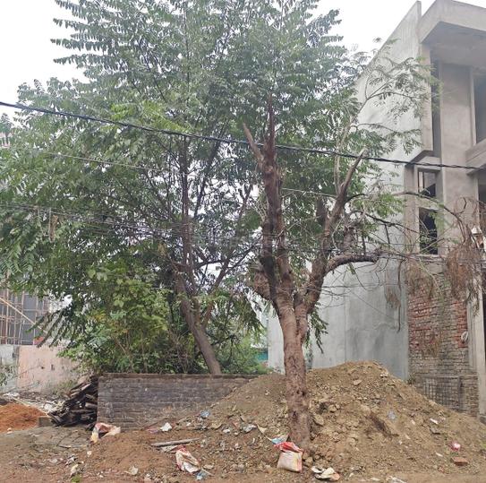 Phase 2 Main Image 1
