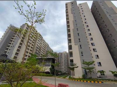 3 BHK Flat