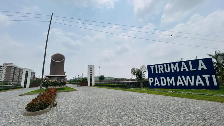 Target Tirumala Padmawati Main Image 1