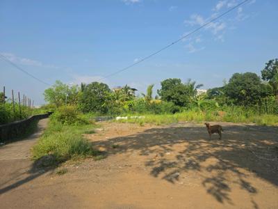 Image of 1089 Sq.ft Residential Plot / Land for sale in Vasai West, Vasai for Rs. 4751000