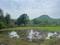 Punade Plot View 2