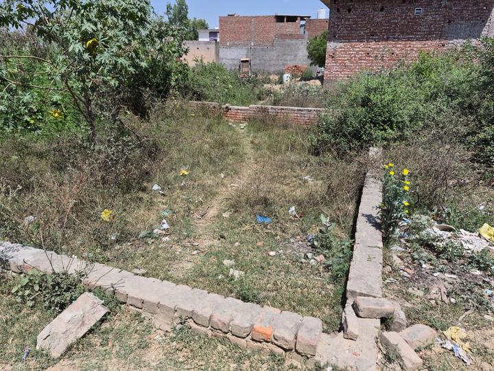 Samalkha Main Image 1