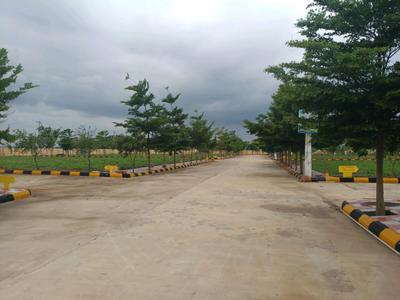 Hampton Palms Internal Roads 1