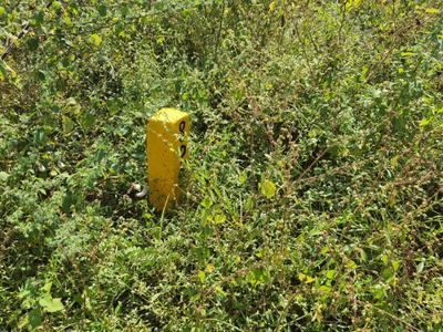 Image of 167 Sq.ft Residential Plot / Land for sale in Medchal, Secunderabad for Rs. 5400000