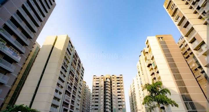 Apollo DB City Main Image 1