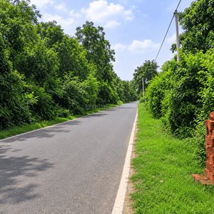 Image of 1000 Sq.ft Residential Plot / Land for sale in Naubatpur, Patna for Rs. 2250000