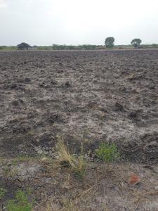 Image of 80937 Sq.ft Residential Plot / Land for sale in Kovilpatti, Thoothukudi for Rs. 22000000