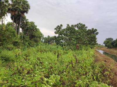 Image of 5000 Sq.ft Residential Plot / Land for sale in Sabbavaram, Visakhapatnam for Rs. 10400000