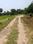 Natures Paradise Internal Roads 2