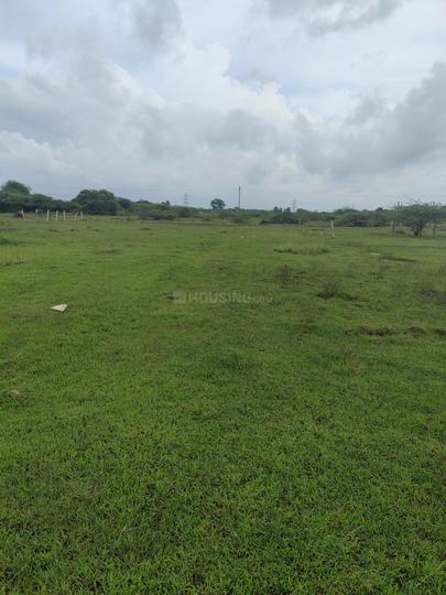 Highway Green City Main Image 1