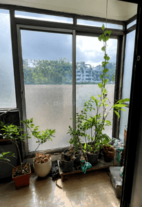 Image of 1510 Sq.ft 3 BHK Apartment / Flat for sale in Sumadhura Paramount Serene by Sumadhura Infracon Pvt Ltd, Begur, Bengaluru for Rs. 11200000