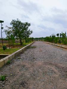 Raghavendra Colony Plot View 3