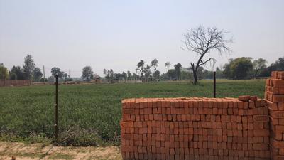 Guramba Plot View 3