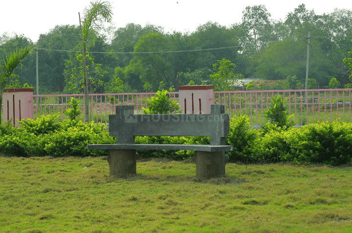 TMR Golden Habitat Main Image 1